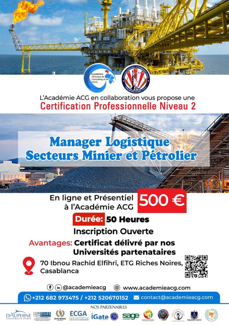 Manager Secteur Minier et Pétrole